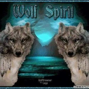 Meet your Posher, Gary